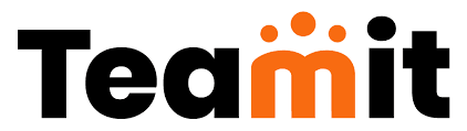 Teamit logo